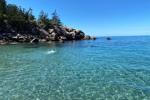 Aquascene Magnetic Island Discovery Tour - Grafton Accommodation 9