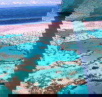 8-Day Cairns Tour Great Barrier Reef Kuranda Daintree Rainforest - Grafton Accommodation