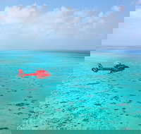 Port Douglas Scenic Flights