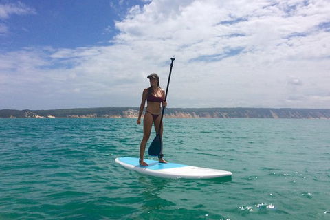 Stand Up Paddle 4WD Day Trip From Noosa Including Great Beach Drive Experience - Grafton Accommodation 11