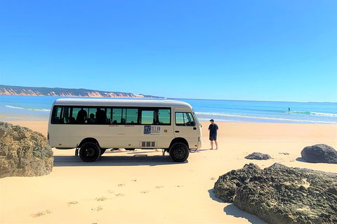 Stand Up Paddle 4WD Day Trip From Noosa Including Great Beach Drive Experience - Grafton Accommodation 6
