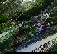 4-Day Cairns with Great Barrier Reef and Daintree Rainforest - Grafton Accommodation