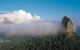 Sunshine Coast Private Scenic Guided Tour Inc. 2-Course Gourmet Lunch - thumb 6