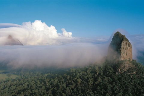 Sunshine Coast Private Scenic Guided Tour Inc. 2-Course Gourmet Lunch - Grafton Accommodation 6