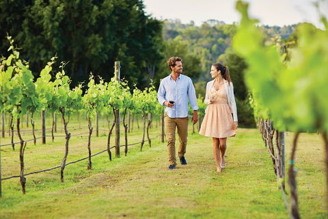 Sunshine Coast Private Scenic Guided Tour Inc. 2-Course Gourmet Lunch - Grafton Accommodation 10