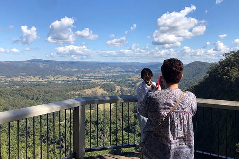 Sunshine Coast Private Scenic Guided Tour Inc. 2-Course Gourmet Lunch - Grafton Accommodation 8