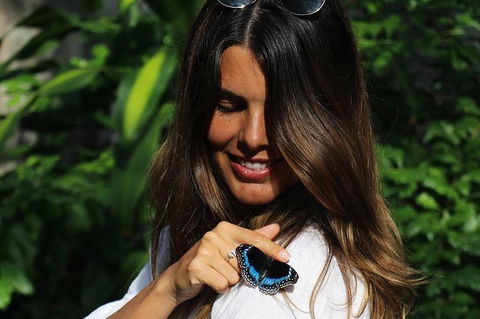 Australian Butterfly Sanctuary - Grafton Accommodation 5