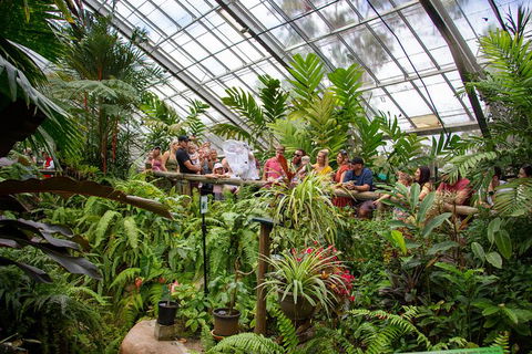 Australian Butterfly Sanctuary - Grafton Accommodation 4