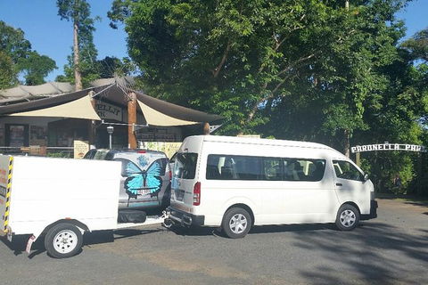 Airport Transfer To Or From Cairns Hotels For Up To 13 People (7am-10pm) - Grafton Accommodation 3