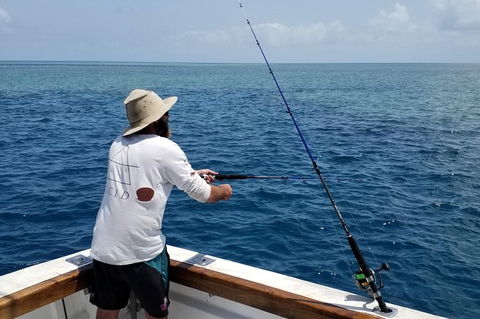 Full Day Fishing Charter Airlie Beach Whitsundays - Grafton Accommodation 1