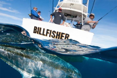 Full Day Fishing Charter Airlie Beach Whitsundays - Grafton Accommodation 2