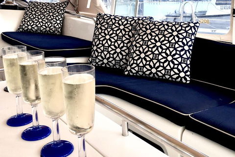 MiLady One Day Whitsunday Private Charter - Grafton Accommodation 7
