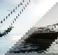 MiLady One Day Whitsunday Private Charter - Grafton Accommodation