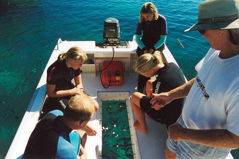 Great Barrier Reef Luxury Expedition Cruise Cabin Booking 7 Days 6 Night - Grafton Accommodation 1