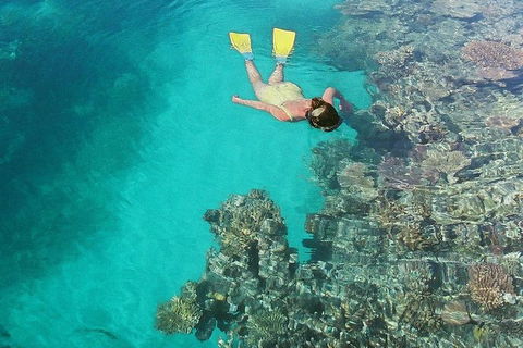 Great Barrier Reef Luxury Expedition Cruise Cabin Booking 7 Days 6 Night - Grafton Accommodation 8