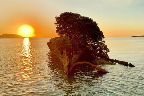 Aquascene Magnetic Island Sunset & Shipwreck Tour - Grafton Accommodation 3