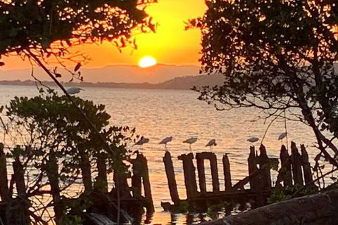 Aquascene Magnetic Island Sunset & Shipwreck Tour - Grafton Accommodation 2