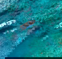 Premium Private Charter - Grafton Accommodation