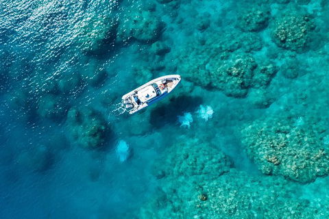 Premium Private Charter - Grafton Accommodation 0