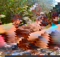 Dingos 3 Day Tag along Fraser Island 4WD Adventure - Grafton Accommodation