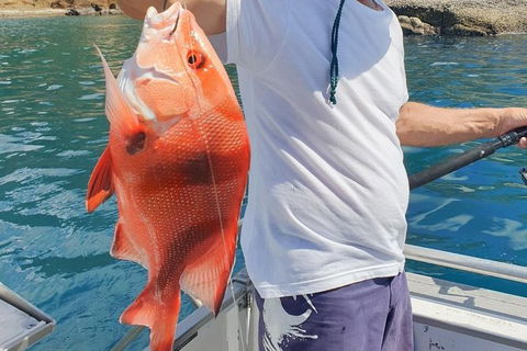 Adventure Fishing Combo Day - Fish, Swim, Whitehaven, Hill Inlet Bush Walking - Grafton Accommodation 2