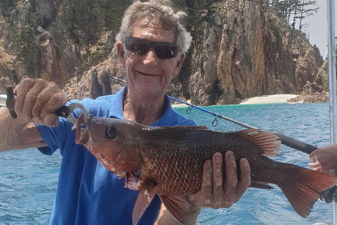 Adventure Fishing Combo Day - Fish, Swim, Whitehaven, Hill Inlet Bush Walking - Grafton Accommodation 10