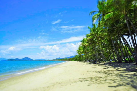 Airport Transfer - Palm Cove, Kewarra Beach & Trinity Beach To Cairns Airport - Grafton Accommodation 2