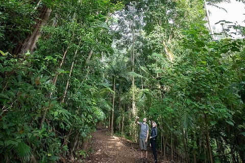 Private Group Eco Tour - Grafton Accommodation 0