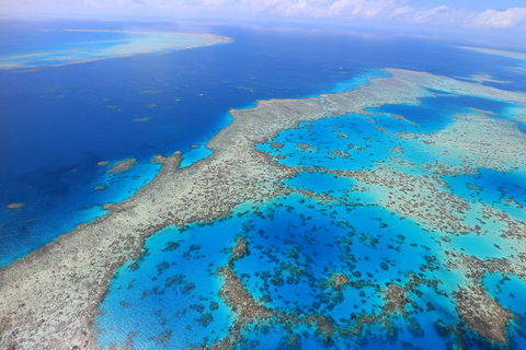Whitsunday Islands And Heart Reef Scenic Flight - 70 Minutes - Grafton Accommodation 2