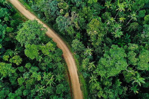 Chasing Waterfalls In The Whitsunday\'s Full Day Tour - Grafton Accommodation 5