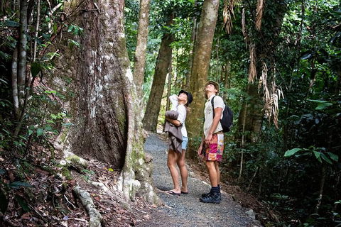 Chasing Waterfalls In The Whitsunday\'s Full Day Tour - Grafton Accommodation 19