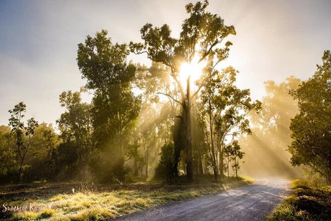 Chasing Waterfalls In The Whitsunday\'s Full Day Tour - Grafton Accommodation 20