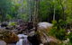 Chasing Waterfalls In The Whitsunday\'s Full Day Tour - thumb 13