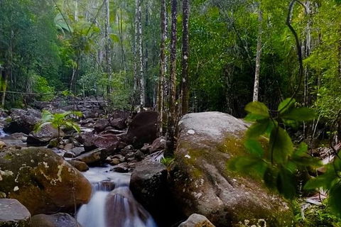 Chasing Waterfalls In The Whitsunday\'s Full Day Tour - Grafton Accommodation 13