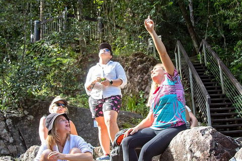 Chasing Waterfalls In The Whitsunday\'s Full Day Tour - Grafton Accommodation 4