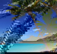 Whitsunday Essentials 5 Days Package - Grafton Accommodation