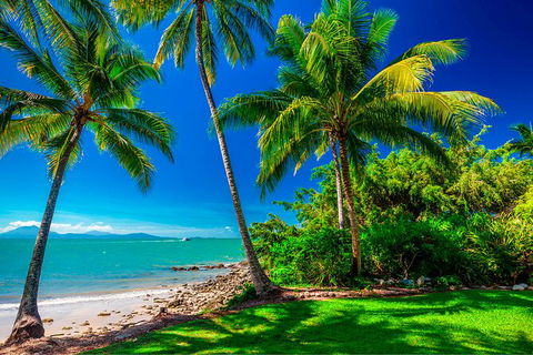 SHUTTLE - Port Douglas And Craiglie Return Transfer - Grafton Accommodation 2