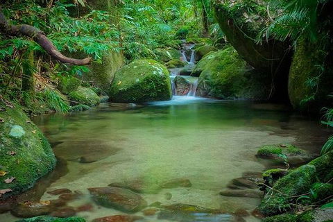 SHUTTLE - Mossman Gorge & Cooya Beach From Port Douglas (Return Transfer) - Grafton Accommodation 2
