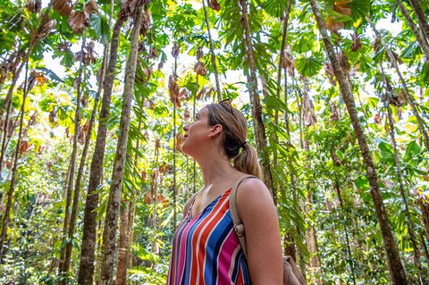 5 Day Australia Retreat: Queensland Daintree - Grafton Accommodation 3