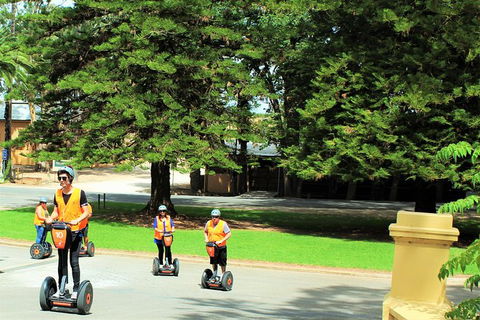 Segway Tour At Seppeltsfield Winery - Grafton Accommodation 6