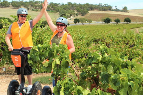 Segway Tour At Seppeltsfield Winery - Grafton Accommodation 5