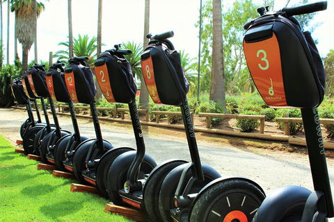 Segway Tour At Seppeltsfield Winery - Grafton Accommodation 3