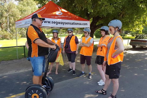 Segway Tour At Seppeltsfield Winery - Grafton Accommodation 9