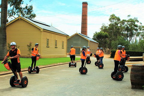 Segway Tour At Seppeltsfield Winery - Grafton Accommodation 4