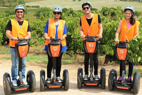 Segway Tour At Seppeltsfield Winery - Grafton Accommodation 2