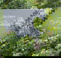 Yalumba Nursery  Grenache Discovery Tour  Platter Lunch - Grafton Accommodation
