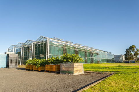 Yalumba Nursery & Grenache Discovery Tour + Platter Lunch - Grafton Accommodation 5