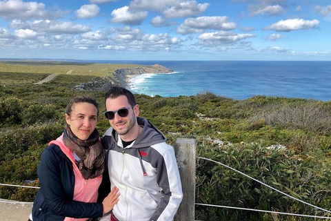 NEW TOUR - Flinders Chase Tour (Recovering From Fires) - Grafton Accommodation 3