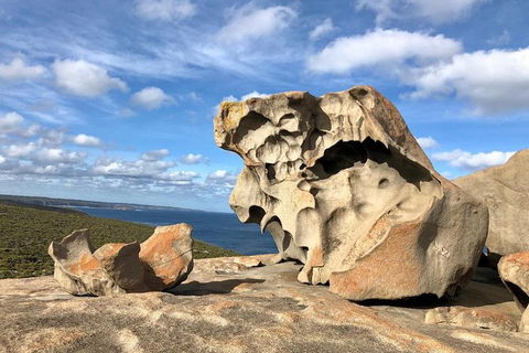 NEW TOUR - Flinders Chase Tour (Recovering From Fires) - Grafton Accommodation 2