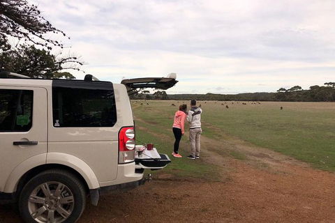 NEW TOUR - Flinders Chase Tour (Recovering From Fires) - Grafton Accommodation 6